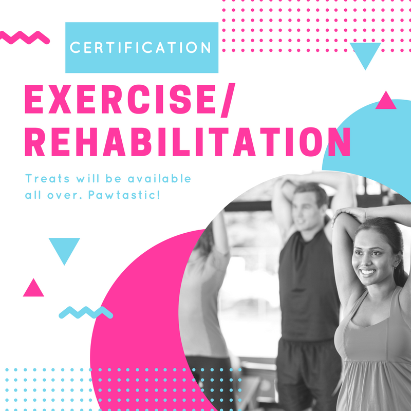 Exercise/Rehabilitation Logo